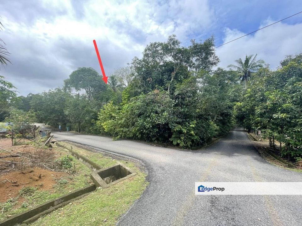 TANAH LOT BANGUNAN CHENOR, PAHANG BELANAG SMK AGAMA CHENOR SUKU EKAR TANAH CANTIK UNTUK DIJUAL, Pahang, Chenor