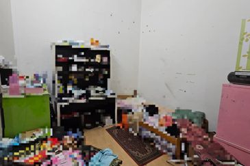 Taman Pelindung Maju 1