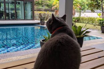 The Reserve Puncak Kayangan Kemensah, Ampang