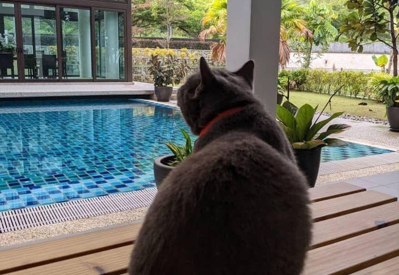 The Reserve Puncak Kayangan Kemensah, Ampang