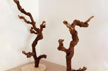 Park Place @ ParkCity