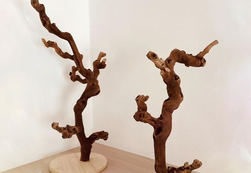 Park Place @ ParkCity