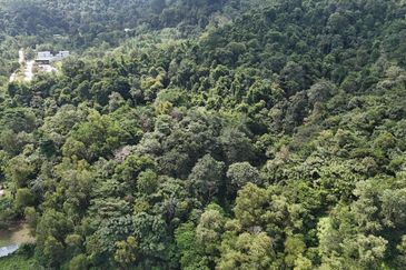 Rimba Kemensah, Taman Melawati, Ampang, Agricultural Land for Sale