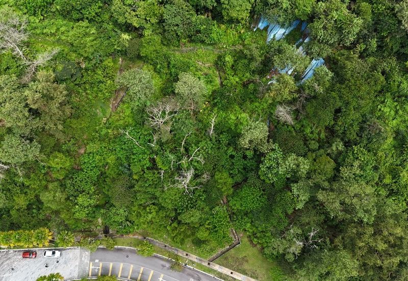 The Peak @ Taman TAR