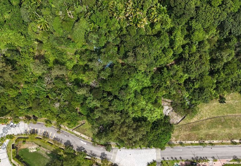 The Peak @ Taman TAR