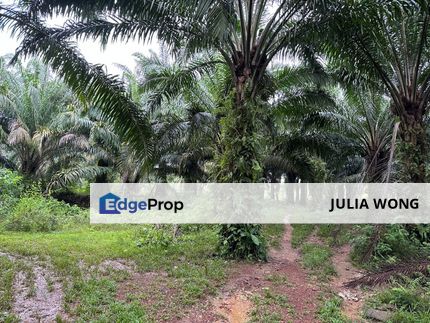 10 acres Agricultural land near KLIA & Sunsuria city, Selangor, Sepang