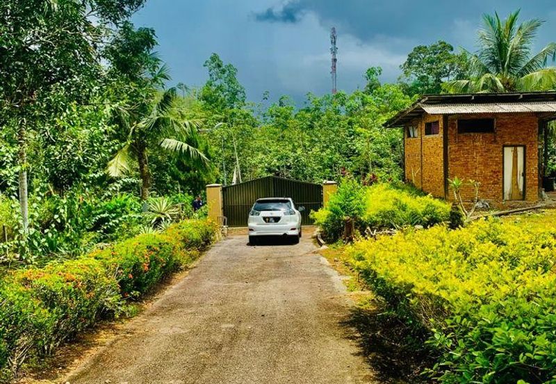 Kampung Baru Si Rusa