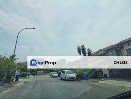 ANGGERIK DORITIS KOTA KEMUNING, Selangor, Kota Kemuning