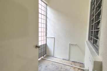 Anggerik Doritis @ Kota Kemuning