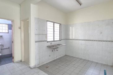 Anggerik Doritis @ Kota Kemuning