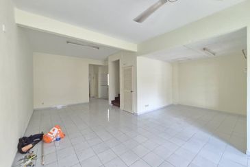 Anggerik Doritis @ Kota Kemuning