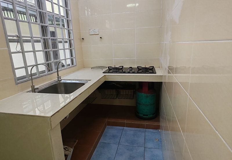 Anggerik Doritis @ Kota Kemuning