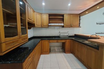 Anggerik Doritis @ Kota Kemuning