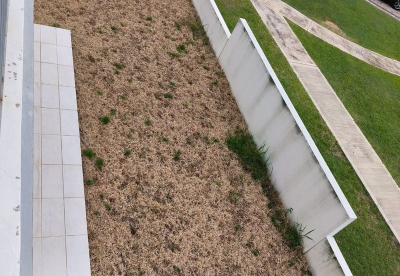 Lucent Residence @ twentyfive.7