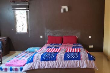 Anggerik Doritis @ Kota Kemuning