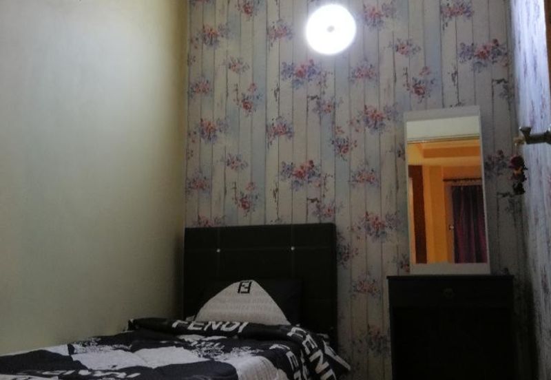 Anggerik Doritis @ Kota Kemuning