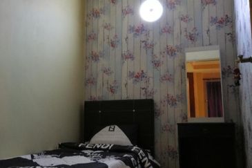 Anggerik Doritis @ Kota Kemuning