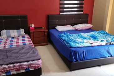 Anggerik Doritis @ Kota Kemuning