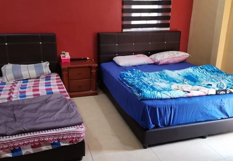 Anggerik Doritis @ Kota Kemuning