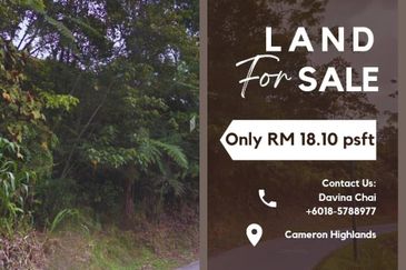 SUPER CHEAP Cameron Highlands Freehold Land