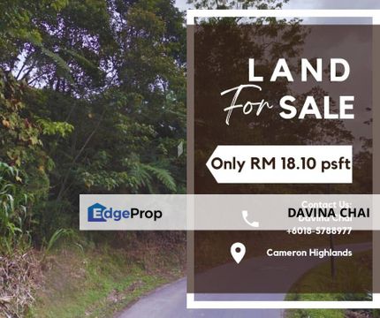 SUPER CHEAP Cameron Highlands Freehold Land, Pahang, Cameron Highlands