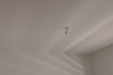 Bandar Bukit Tinggi 1 Apartment