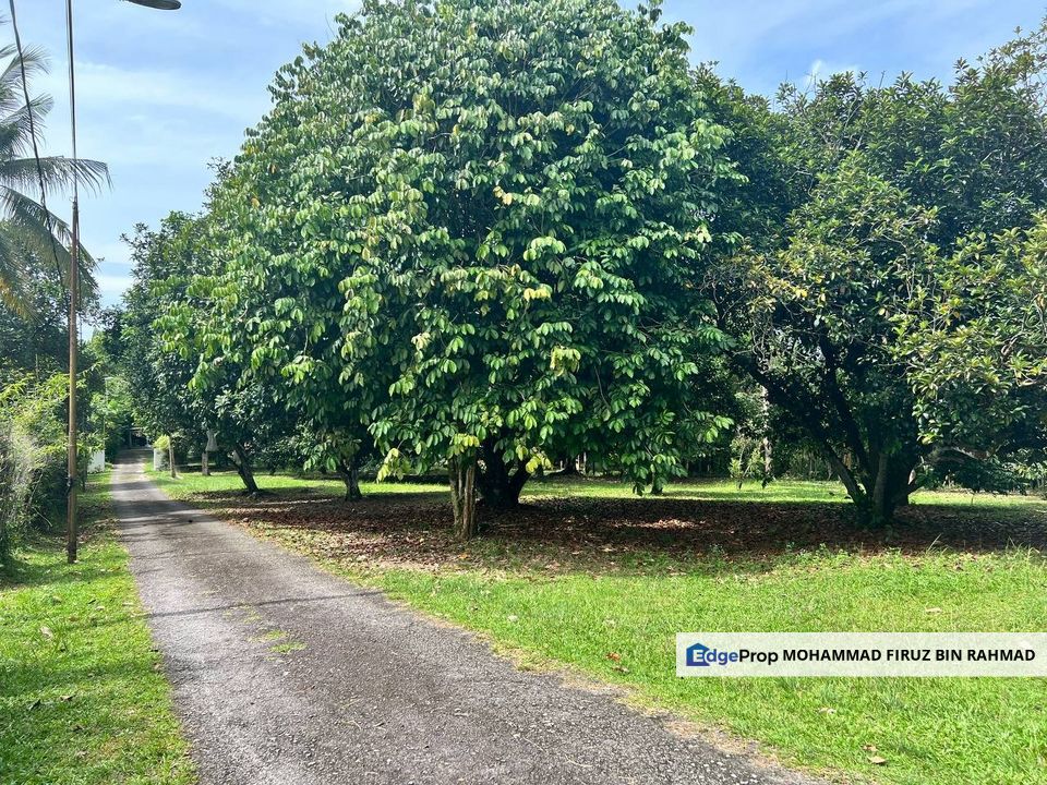 Bukit Rahman Putra,  Beserta Rumah Banglo Dan Kolam Ternak Ikan, Selangor, Bukit Rahman Putra