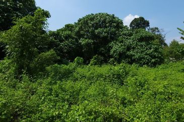 Bungalow Land Located @ Setiawangsa Prime area 