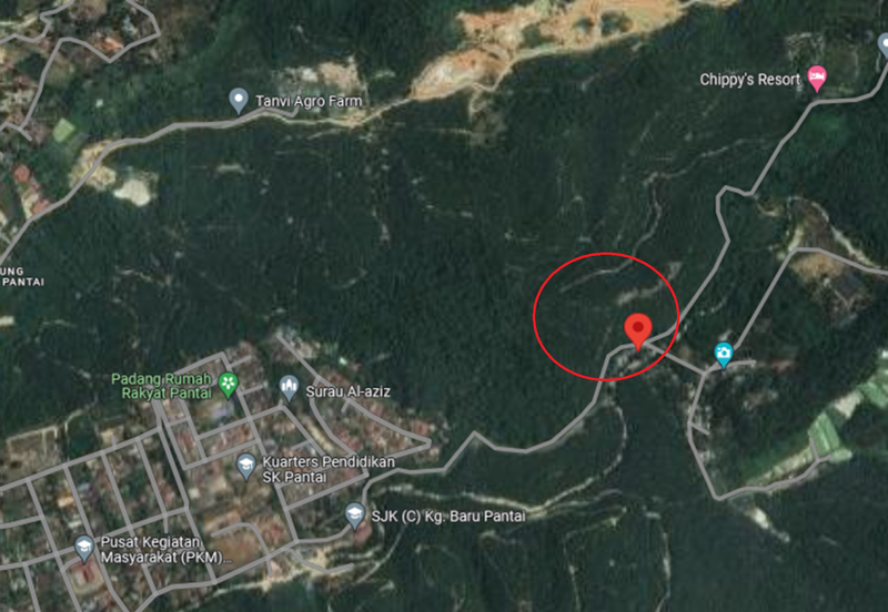 Durian Orchard @ Negeri Sembilan