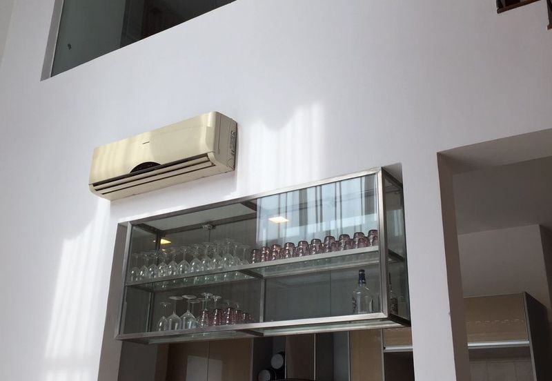 Tropicana City Tropics