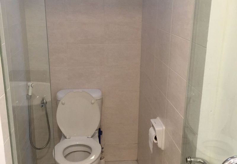 Tropicana City Tropics