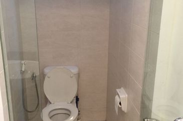 Tropicana City Tropics