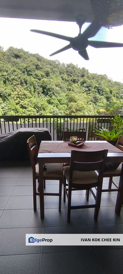 Fully Renovated & Facing Greenery Hill View, Selangor, Damansara Perdana