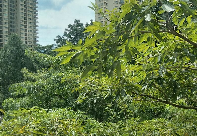 Mont Kiara Damai Resort Condominium