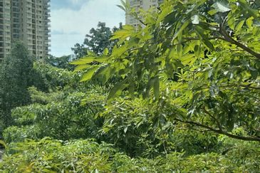 Mont Kiara Damai Resort Condominium