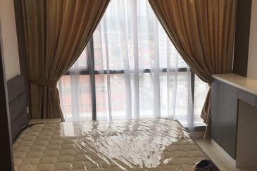 Arnica @ Tropicana Gardens