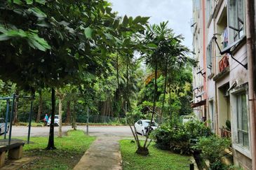 Delima Apartment, Bukit Jelutong