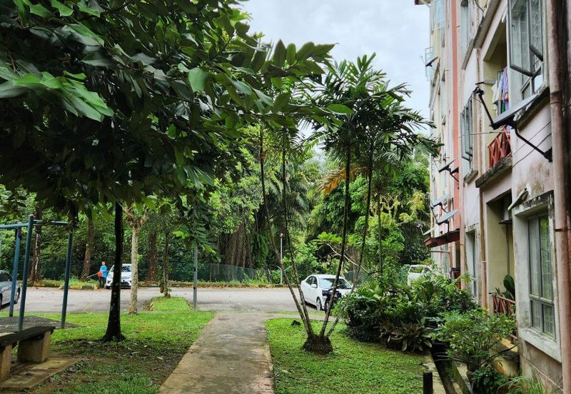 Delima Apartment, Bukit Jelutong