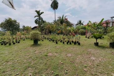 Seksyen 8, Shah Alam