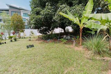 Seksyen 8, Shah Alam