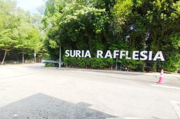 Suria Rafflesia