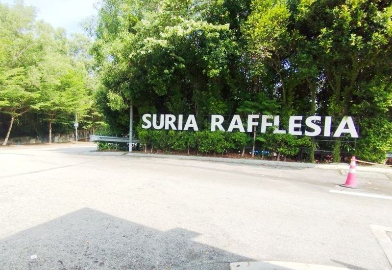 Suria Rafflesia