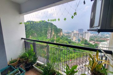 Penaga @ Taman Raintree