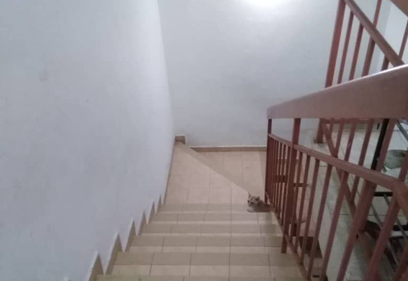 SENAWANG TAMAN KEMUNING DOUBLE STOREY TERRACE 