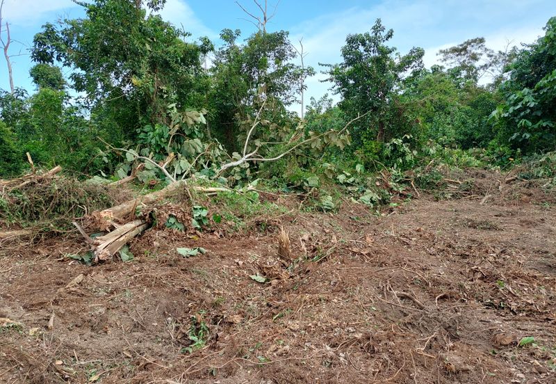 LOT BANGLO PASIR PANJANG PORT DICKSON 