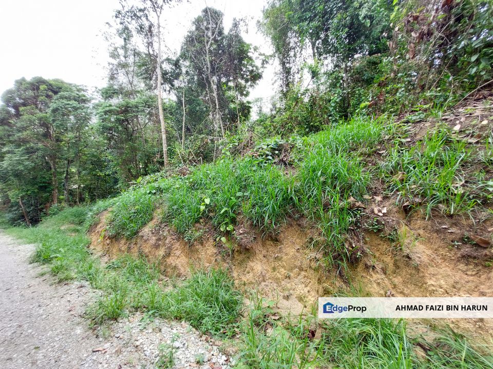 TANAH FREEHOLD NON BUMI SEREMBAN , Negeri Sembilan, Seremban