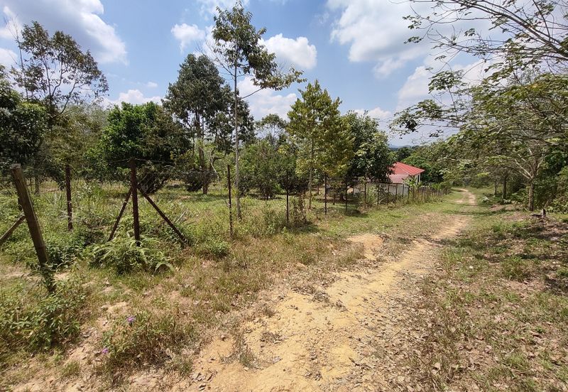 TANAH PERTANIAN REMBAU UNTUK DIJUAL 