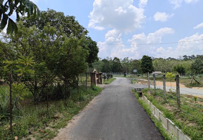 TANAH PERTANIAN REMBAU UNTUK DIJUAL 