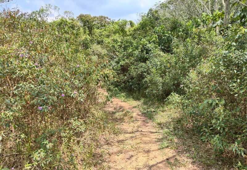 TANAH PERTANIAN REMBAU UNTUK DIJUAL 