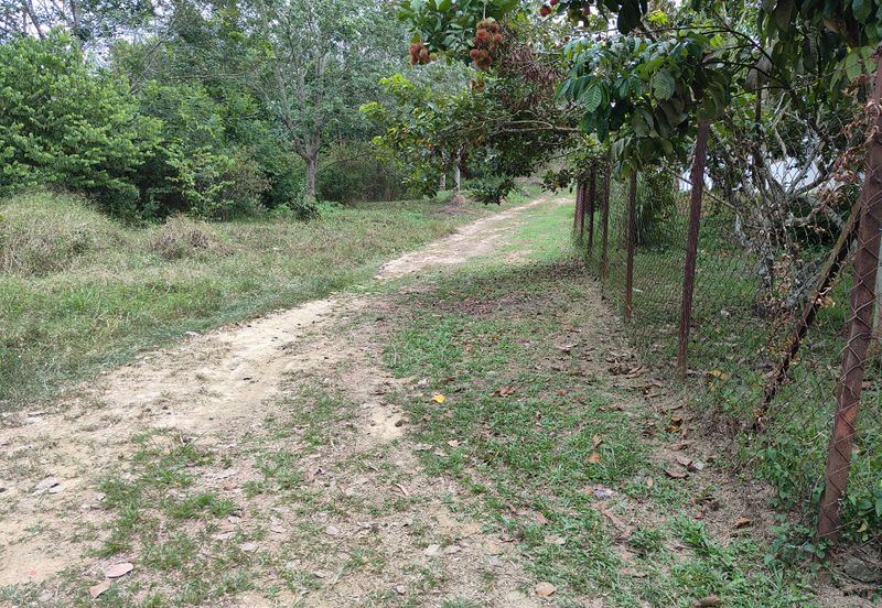 TANAH PERTANIAN REMBAU UNTUK DIJUAL 